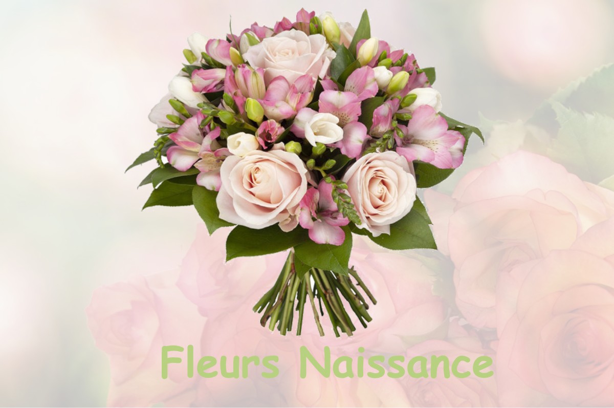 fleurs naissance CHILLY